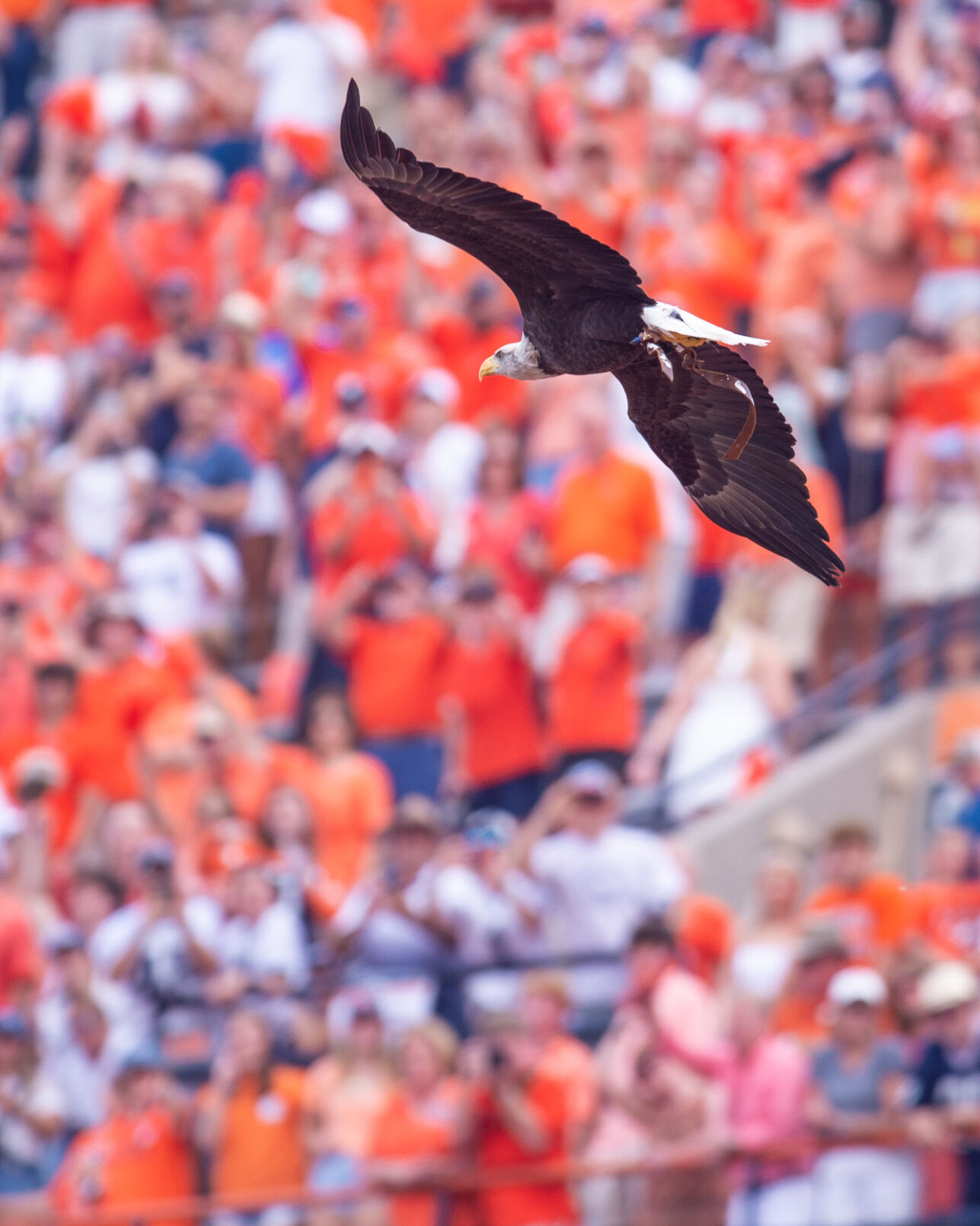 Auburn vs Penn State